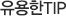 유용한TIP